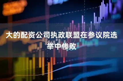 大的配资公司执政联盟在参议院选举中惨败