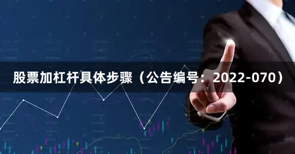 股票加杠杆具体步骤(公告编号:2022-070)