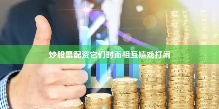 炒股票配资它们时而相互嬉戏打闹